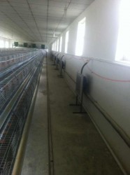 風(fēng)機安裝現(xiàn)場