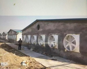 風(fēng)機安裝現(xiàn)場